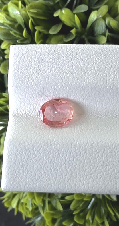 Natural Ceylon Padparadscha Sapphire – 1.05 ct Unheated Oval Cut (Sri Lanka)