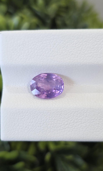 Ceylon Pink Sapphire: 2.19ct Oval, Violetish Hue, Unheated, Untreated Gemstone