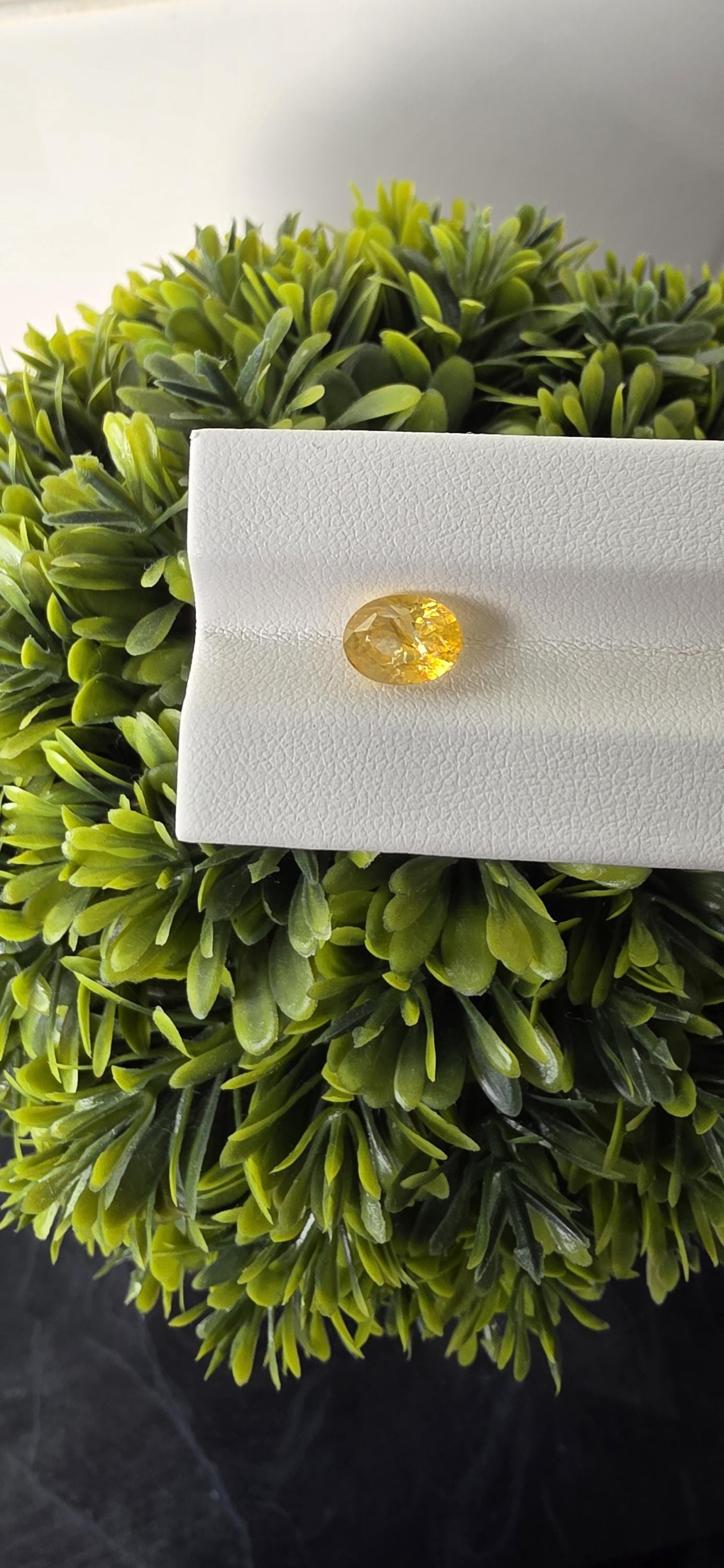 Natural Ceylon Yellow Sapphire: 2.47ct Vivid Oval Cut Gemstone (Unheated)