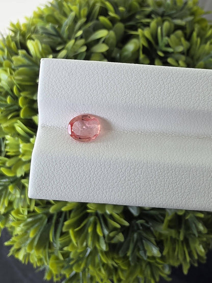 Natural Ceylon Padparadscha Sapphire – 1.05 ct Unheated Oval Cut (Sri Lanka)
