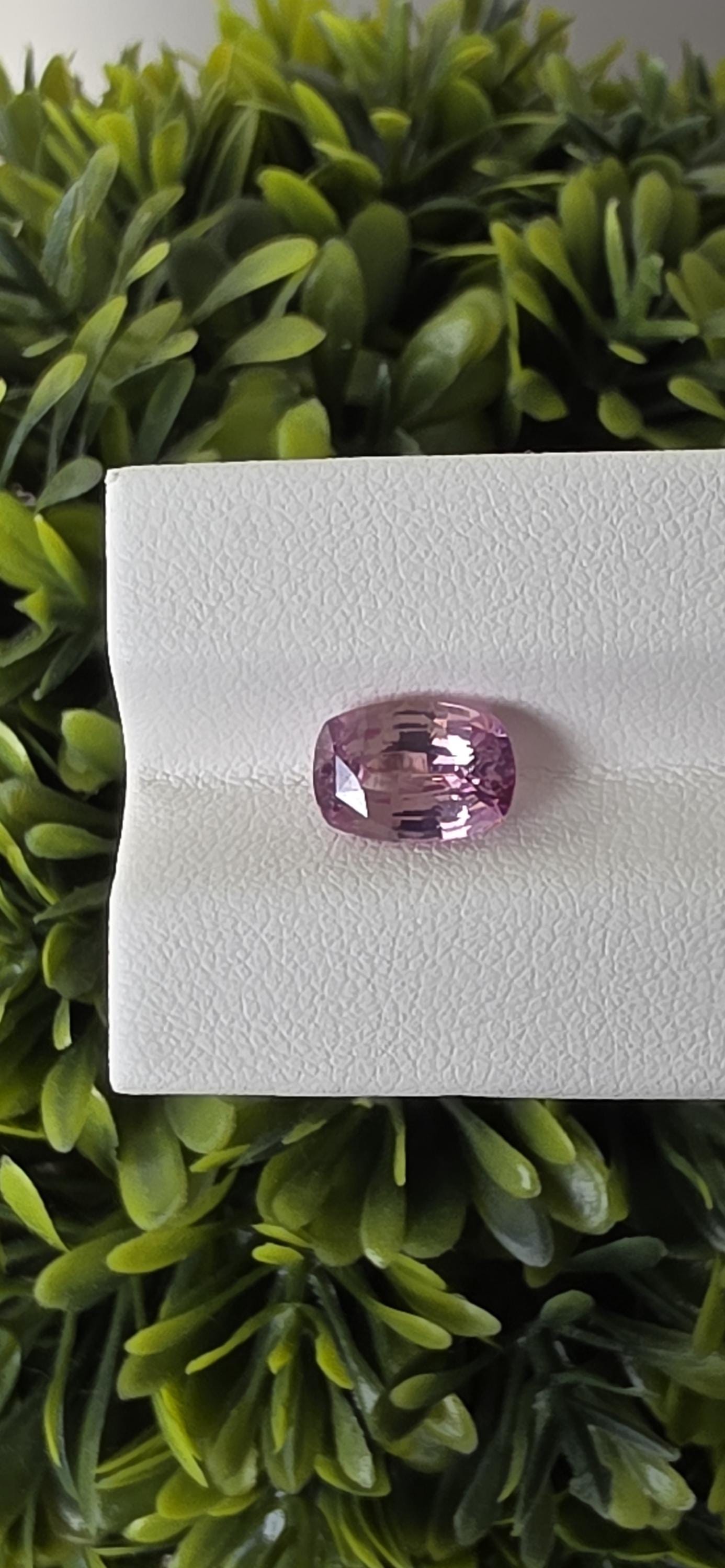 Natural Peach Sapphire: Sri Lanka, 2.93 crt, Cushion Cut, Eye Clean
