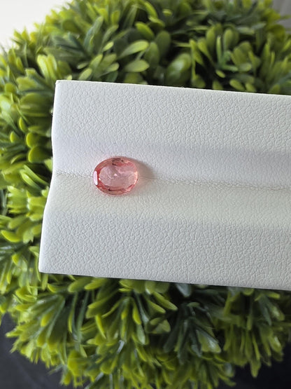 Natural Ceylon Padparadscha Sapphire – 1.05 ct Unheated Oval Cut (Sri Lanka)