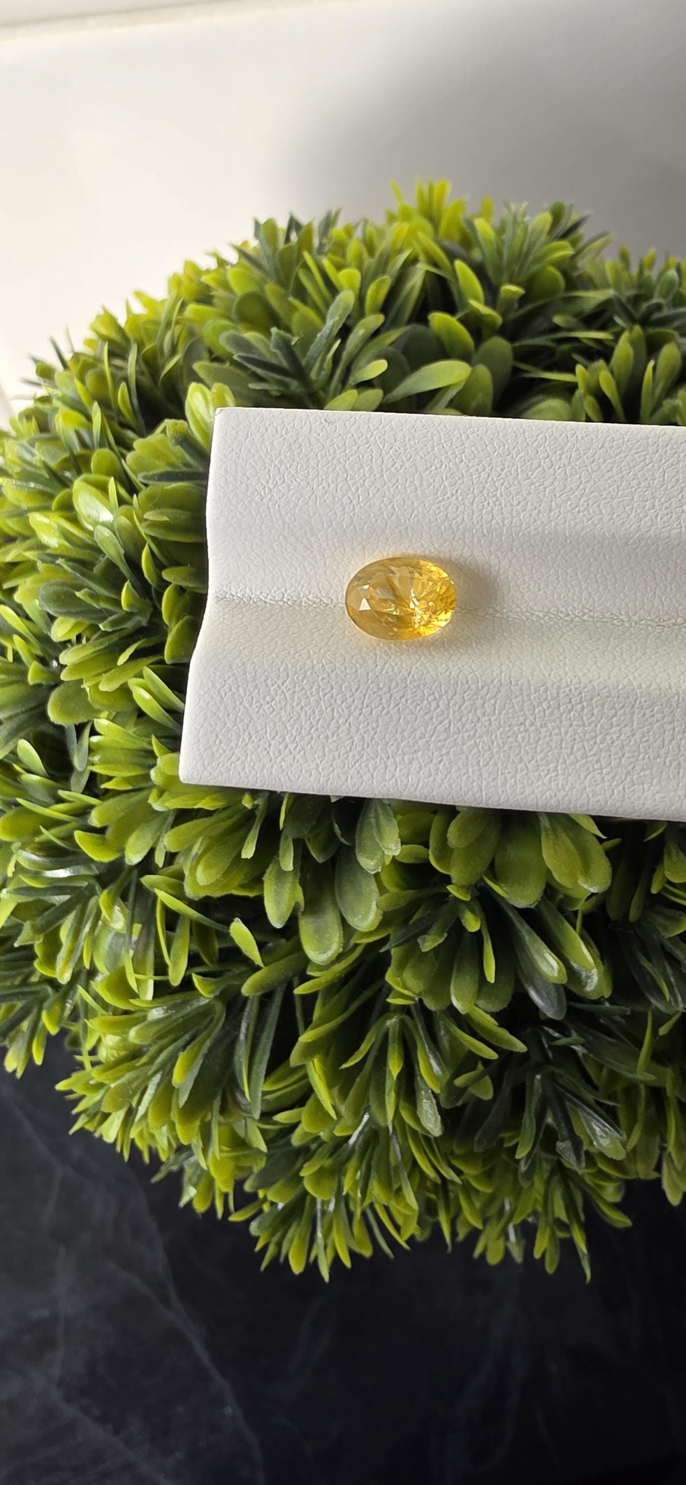 Natural Ceylon Yellow Sapphire: 2.47ct Vivid Oval Cut Gemstone (Unheated)