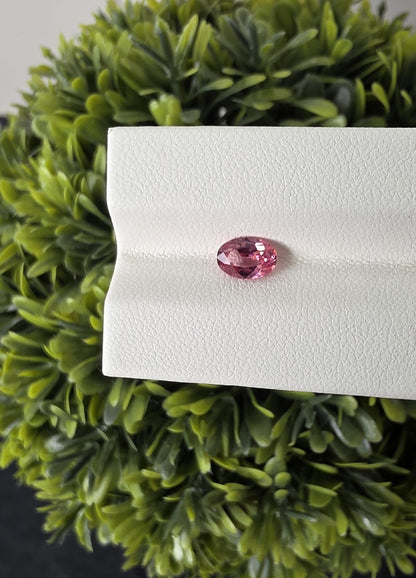 Ceylon Pink Spinnel : 0.82 crt, Non-Heated, Non-Treated, Oval Cut, 7.01 × 4.88 × 3.20 mm, From Sri Lanka.