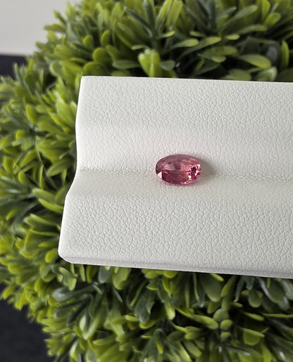 Ceylon Pink Spinnel : 0.82 crt, Non-Heated, Non-Treated, Oval Cut, 7.01 × 4.88 × 3.20 mm, From Sri Lanka.