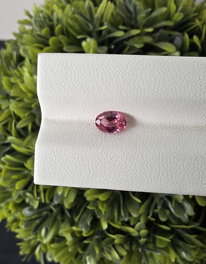 Ceylon Pink Spinnel : 0.82 crt, Non-Heated, Non-Treated, Oval Cut, 7.01 × 4.88 × 3.20 mm, From Sri Lanka.