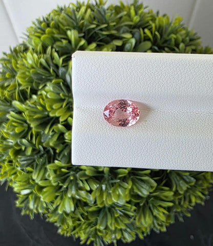 Ceylon Padparadscha Sapphire : From Sri Lanka Orangish Pink, 2.23 crt, Non-Heated, Non-Treated, Oval , 9.31 × 7.10 × 4.02 mm, Eye Clean