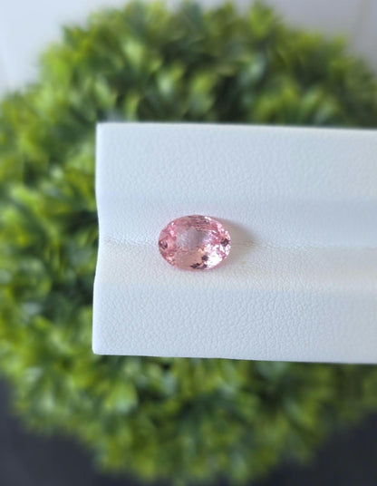 Ceylon Padparadscha Sapphire : From Sri Lanka Orangish Pink, 2.23 crt, Non-Heated, Non-Treated, Oval , 9.31 × 7.10 × 4.02 mm, Eye Clean