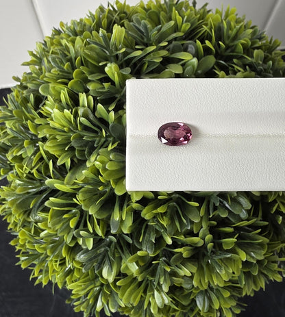 Ceylon Purplish Pink Spinnel-From Sri Lanka, 1.63 crt, Non-Heated, Non-Treated, Oval Cut, 9.01x6.24x3.78mm
