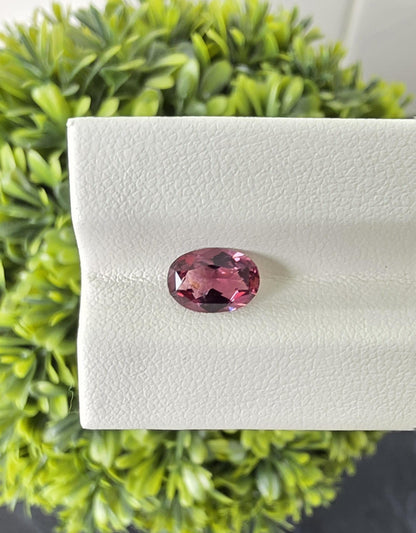Ceylon Purplish Pink Spinnel-From Sri Lanka, 1.63 crt, Non-Heated, Non-Treated, Oval Cut, 9.01x6.24x3.78mm