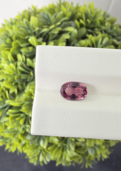 Ceylon Purplish Pink Spinnel-From Sri Lanka, 1.63 crt, Non-Heated, Non-Treated, Oval Cut, 9.01x6.24x3.78mm