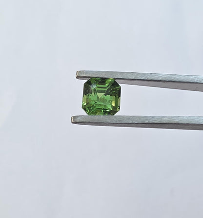 Natural Tsavorite Garnet: 2.03ct Vivid Green Step Cut (6.75x6.54x5.34mm)