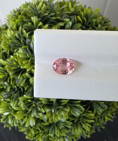 Ceylon Padparadscha Sapphire : From Sri Lanka Orangish Pink, 2.23 crt, Non-Heated, Non-Treated, Oval , 9.31 × 7.10 × 4.02 mm, Eye Clean