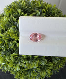 Ceylon Padparadscha Sapphire : From Sri Lanka Orangish Pink, 2.23 crt, Non-Heated, Non-Treated, Oval , 9.31 × 7.10 × 4.02 mm, Eye Clean