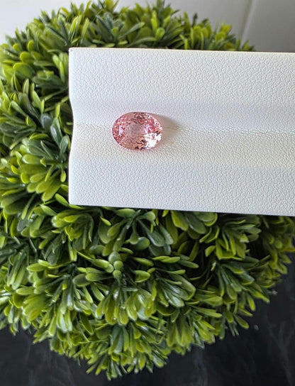 Ceylon Padparadscha Sapphire : From Sri Lanka Orangish Pink, 2.23 crt, Non-Heated, Non-Treated, Oval , 9.31 × 7.10 × 4.02 mm, Eye Clean