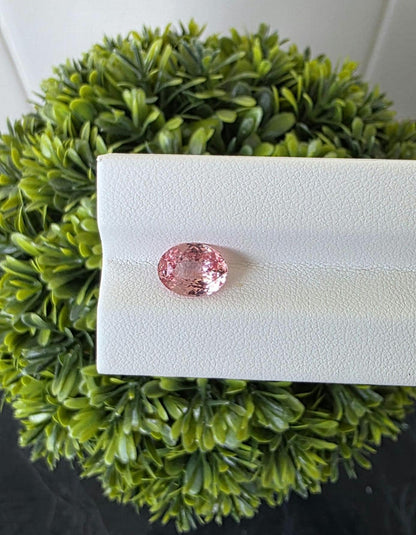 Ceylon Padparadscha Sapphire : From Sri Lanka Orangish Pink, 2.23 crt, Non-Heated, Non-Treated, Oval , 9.31 × 7.10 × 4.02 mm, Eye Clean