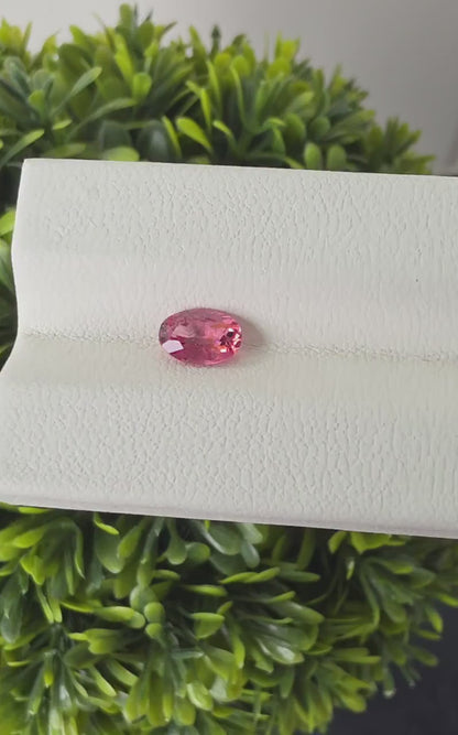 Ceylon Pink  Spinnel : 0.82 crt, Non-Heated, Non-Treated, Oval Cut, 7.01 × 4.88 × 3.20 mm, From Sri Lanka.